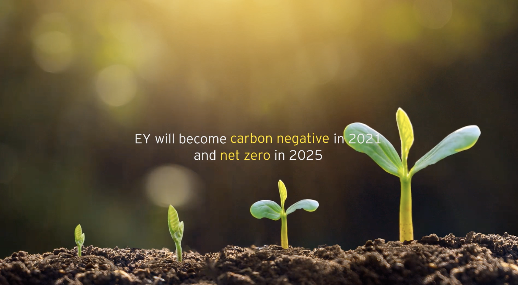 EY tendrá una huella negativa de carbono en 2021 y será emisor neto cero en 2025